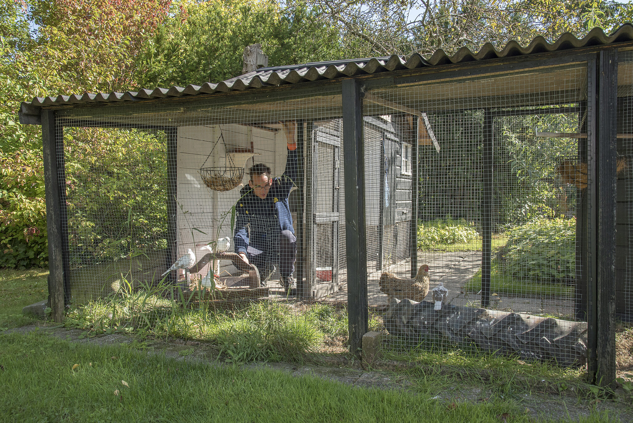 Deelnemer bij de dierenverblijven